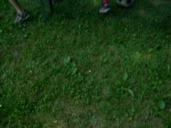 fr15.jpg (11005 Byte)