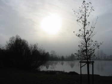 tf021101.jpg (7896 Byte)